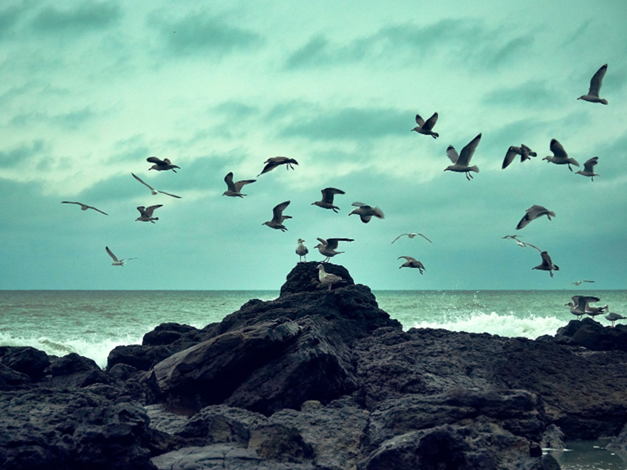 Integer dignissim, erat vel varius laoreet, mi velit dapibus leo,